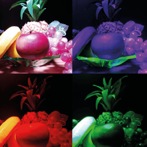 Pokaz naukowy O!świecenie