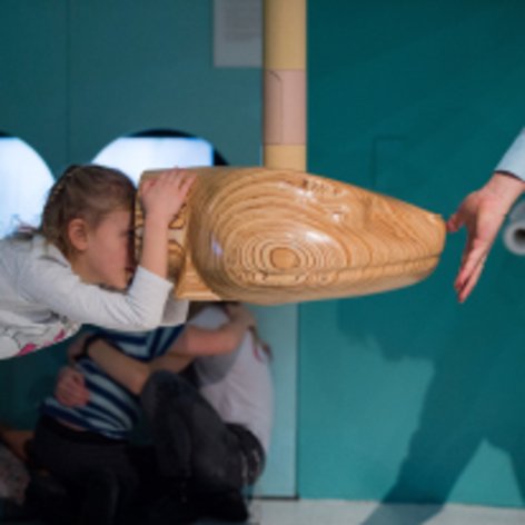 Jak widzi wąż, a jak mucha? Sprawdź w Bzzz!