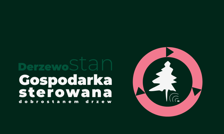 Wizualizacja projektu