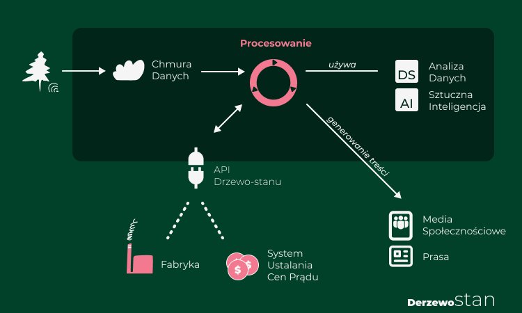 Wizualizacja projektu