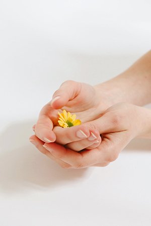 Wizualizacja projektu