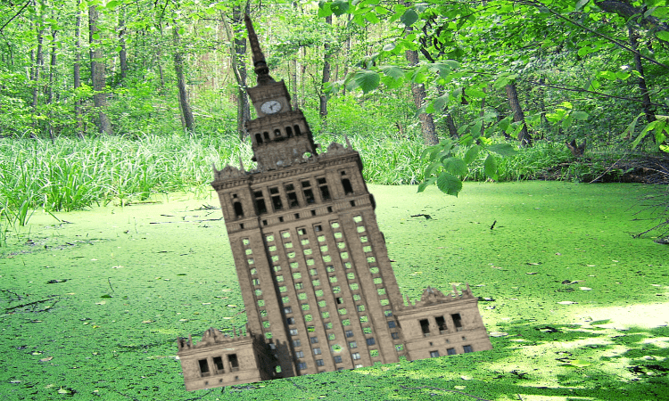 Zdjęcie obrazujące projekt