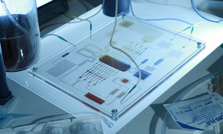 Wizualizacja projektu