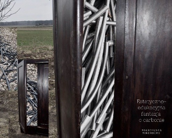 Wizualizacja projektu