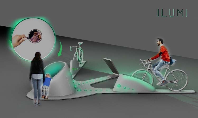 Wizualizacja projektu