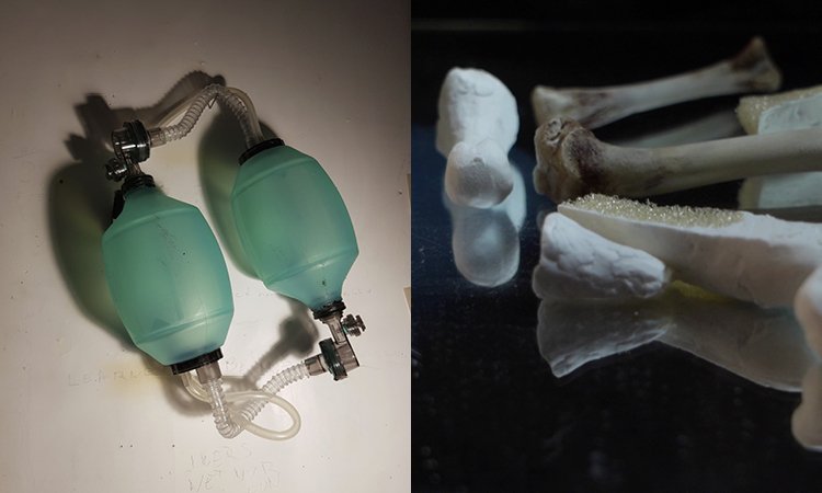 Wizualizacja projektu