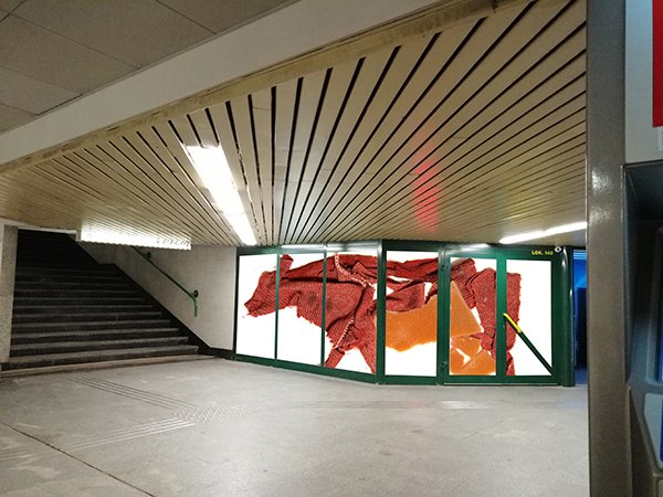 Wizualizacja projektu