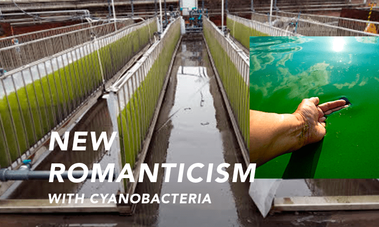 Wizualizacja projektu