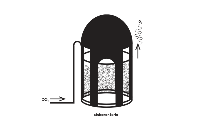 Wizualizacja projektu