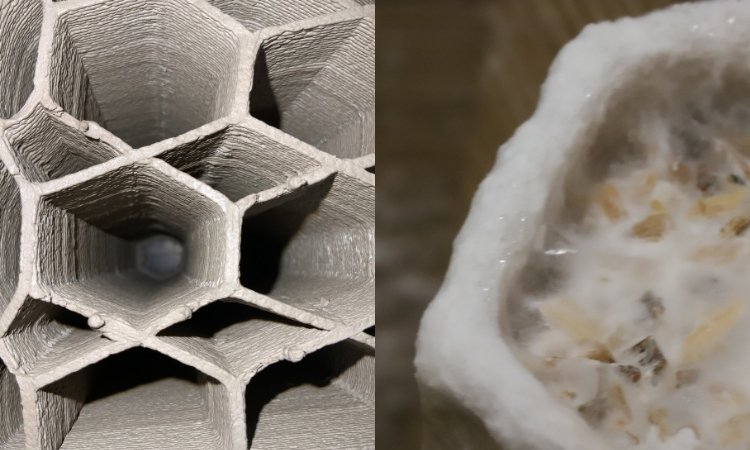 Wizualizacja projektu