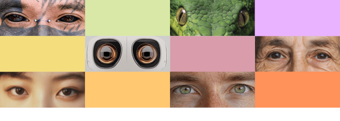 U góry grafiki widać kolorowe prostokąty oraz prostokątne zdjęcia przedstawiające ludzkie, zwierzęce robotyczne oczy. 