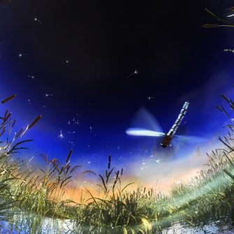 Na skrzydłach marzeń