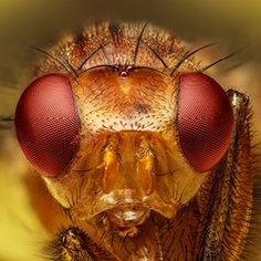 Okiem biologa to cykl o przyrodzie