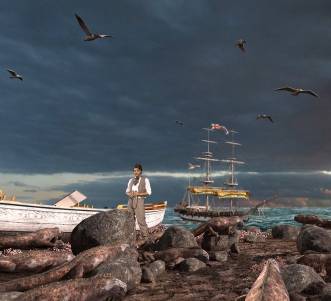 Film Dobór naturalny