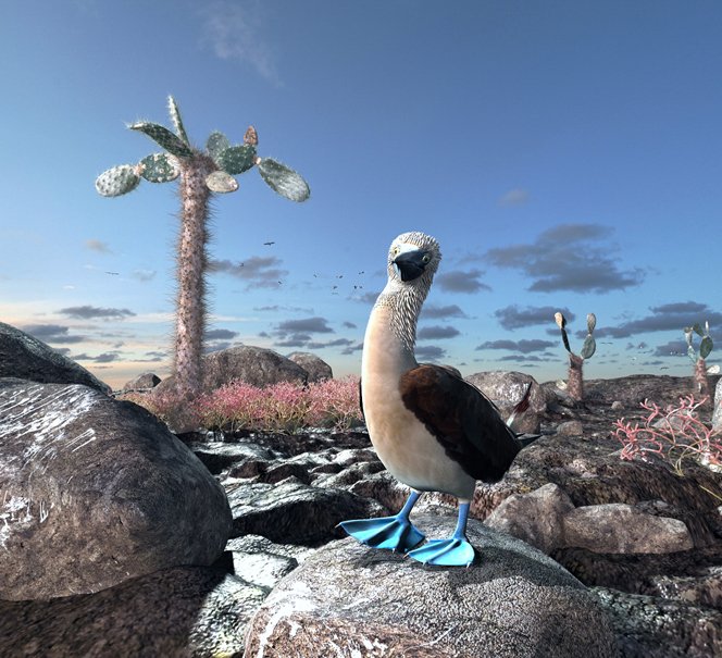 Film Dobór naturalny