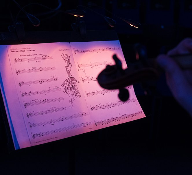 Koncerty pod gwiazdami