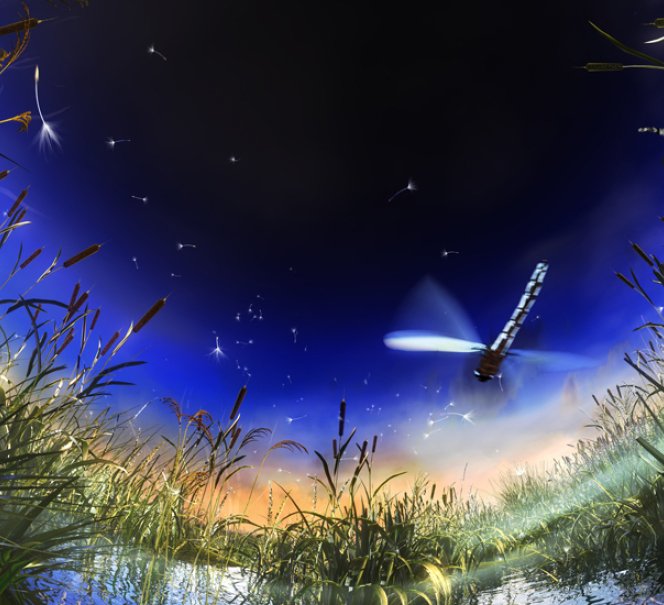 Na skrzydłach marzeń