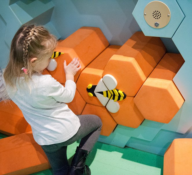 wystawa Bzzz! dla najmłodszych