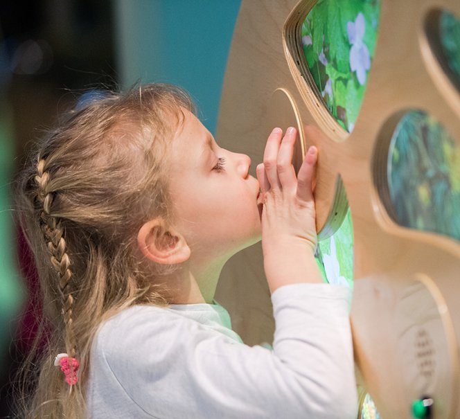 wystawa Bzzz! dla najmłodszych