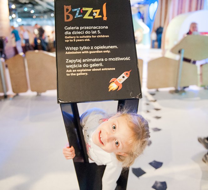 wystawa Bzzz! dla najmłodszych