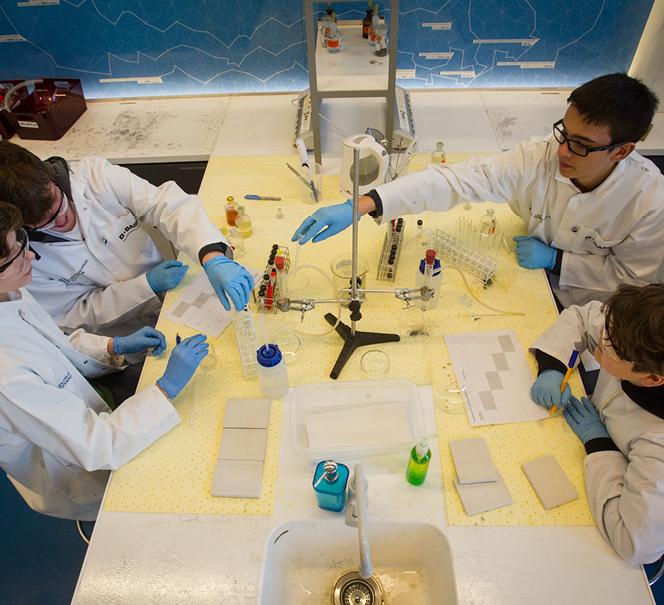 Laboratoria dla grup