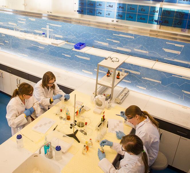 Laboratoria dla grup