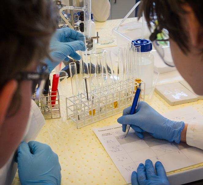 Laboratoria dla grup