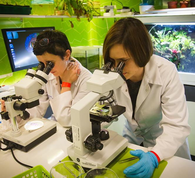 Laboratoria dla grup