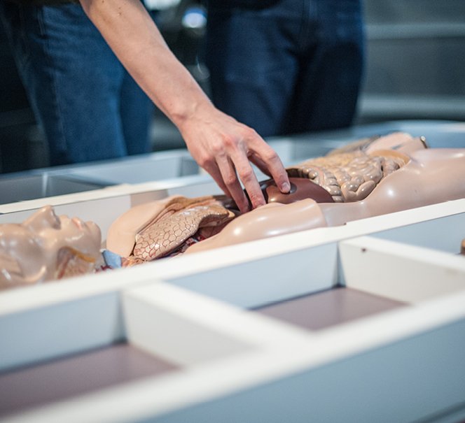 Strefa eksperymentowania