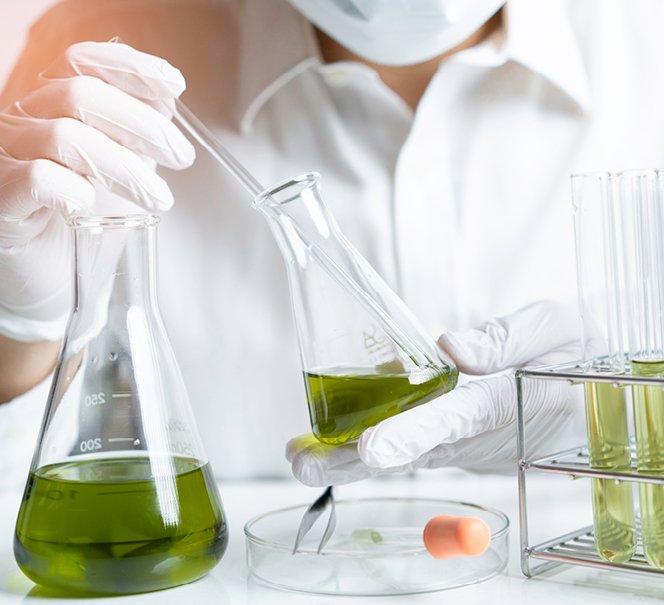 Minilaboratoria w Koperniku