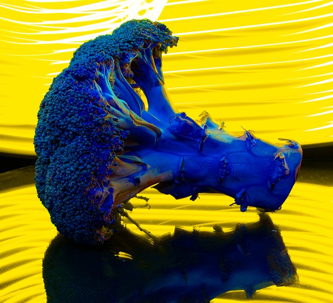 Minilaboratoria w Koperniku