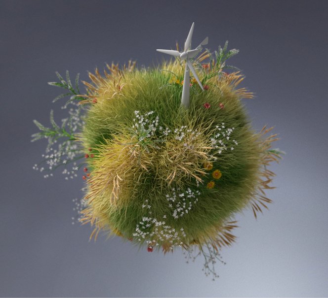 Rośliny ułożone w koło na niebieskim tle