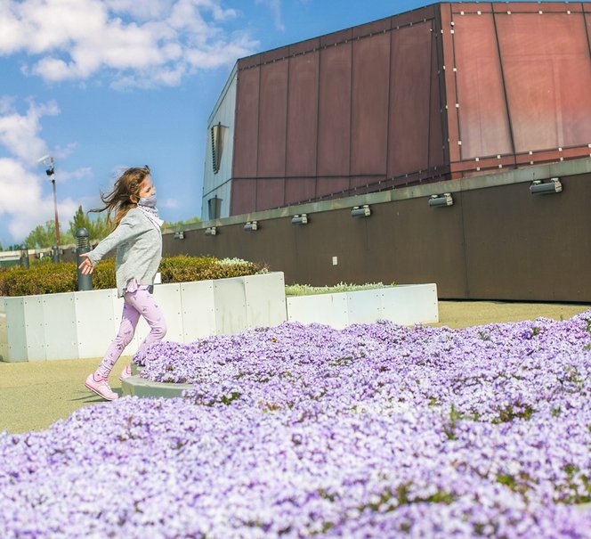 Biegnąca dziewczynka z szeroko rozłożonymi rękami, wokół niej fioletowe kwiaty.