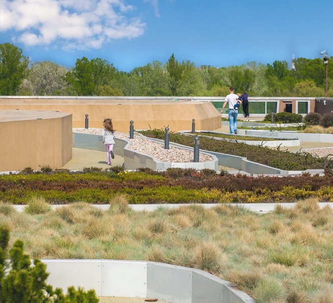 Zdjęcie ogrodu na dachu Kopernika.