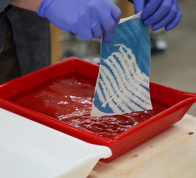 Osoba w rękawiczkach zanurza kartkę w roztworze, wykonując proces fotograficzny cyjanotypii.